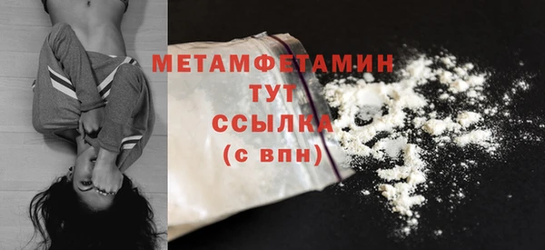 гидра Елизово