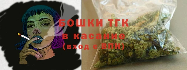 гидра Елизово