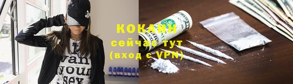 крисы Заводоуковск
