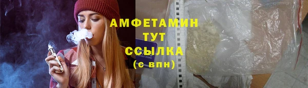 гидра Елизово