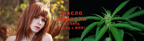 мет Ельня