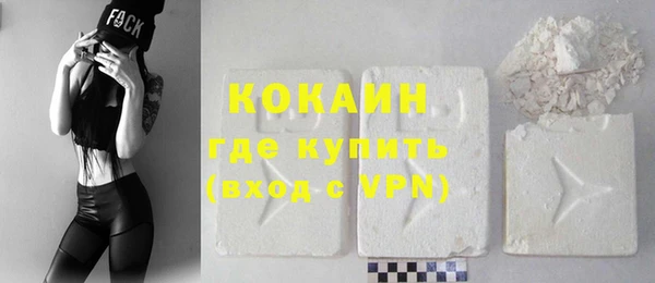 гидра Елизово