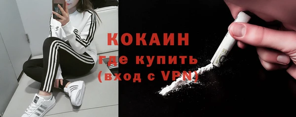 мет Ельня
