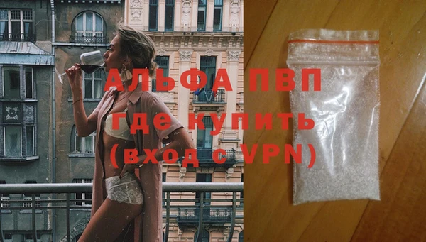 мет Ельня
