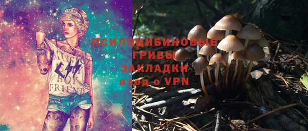 PSILOCYBIN Елабуга