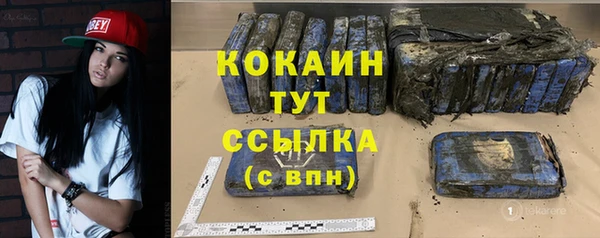 мет Ельня