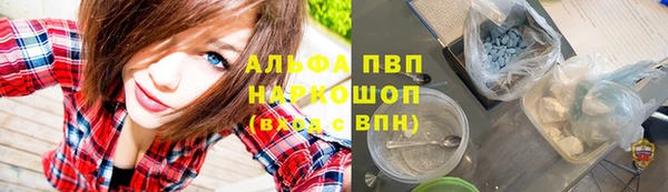 мет Ельня