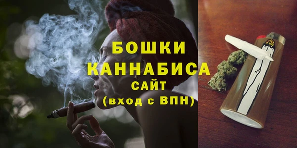 PSILOCYBIN Елабуга