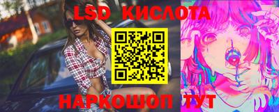 винт Донецк