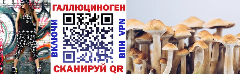 Псилоцибиновые грибы GOLDEN TEACHER  нарко площадка состав  Рубцовск  цена наркотик 