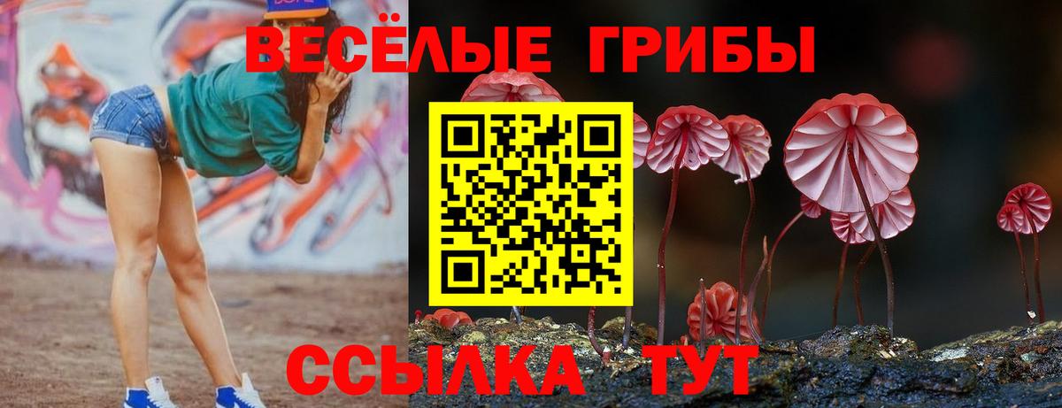 Галлюциногенные грибы GOLDEN TEACHER Рубцовск